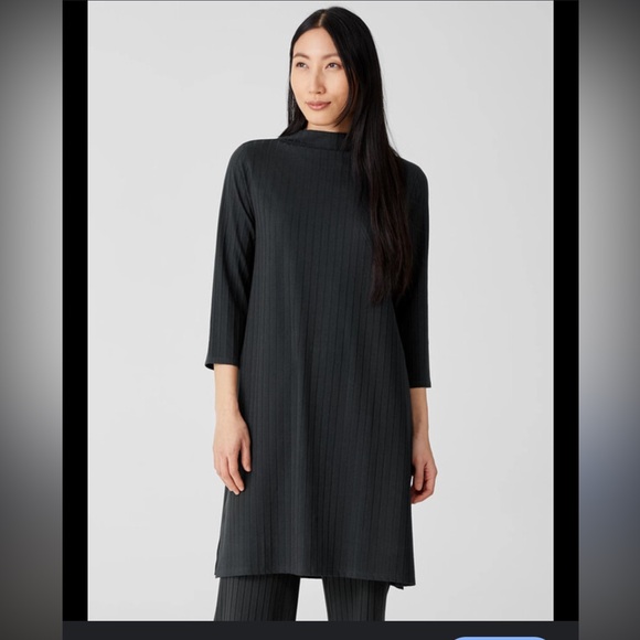 EILEEN FISHER Dresses & Skirts - EILEEN FISHER washable stretch rib funnel neck dress in Grey/Black XL